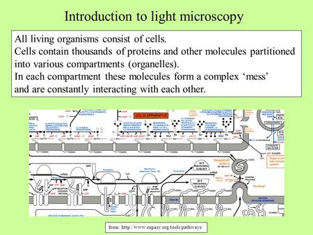 Introduction to light microscopy All living organisms consist of cells. Cells contain thousands of proteins and other molecules partitioned into various.