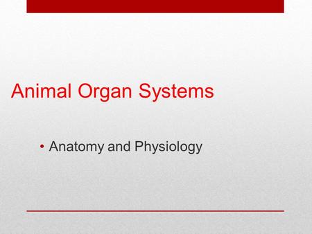 Animal Organ Systems Anatomy and Physiology. Fundamentals of Life  All living things are made up of cells.  Cells are the most basic structure of life.