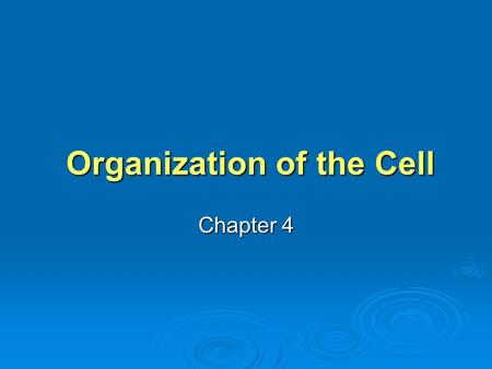 Organization of the Cell Organization of the Cell Chapter 4.