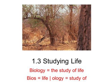 1.3 Studying Life Biology = the study of life Bios = life | ology = study of.
