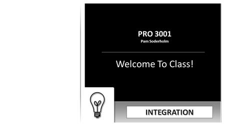 PRO 3001 Pam Soderholm Welcome To Class!. According to The PMBOK® What is a Project Charter? A Document That Formally Authorizes The Existence of a Project.