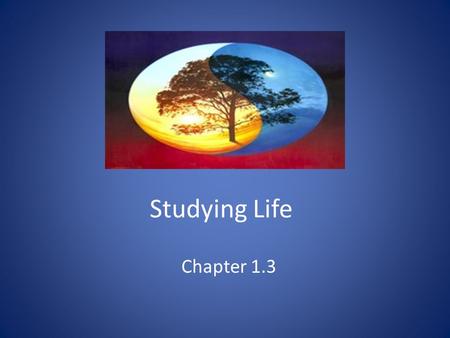 Studying Life Chapter 1.3.