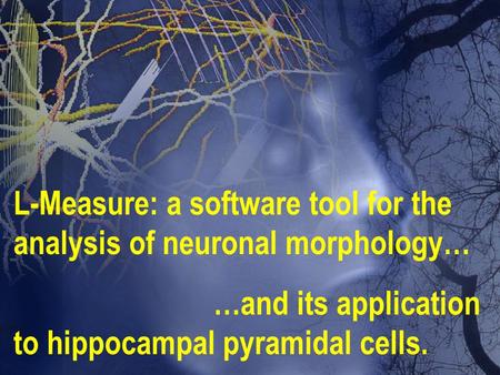 L-Measure: a software tool for the analysis of neuronal morphology… …and its application to hippocampal pyramidal cells.