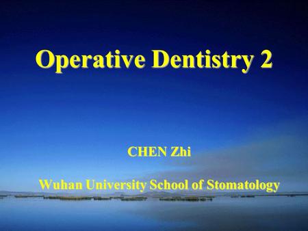 CHEN Zhi Wuhan University School of Stomatology