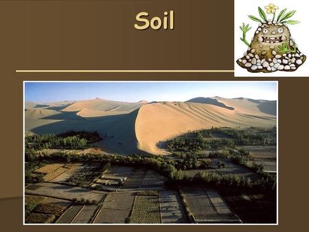 Soil. Soil  Formed by 1- weathering of rocks, 2- deposition of sediment, and 3- decomposition of organic material  Soil Composition  Minerals (45%)