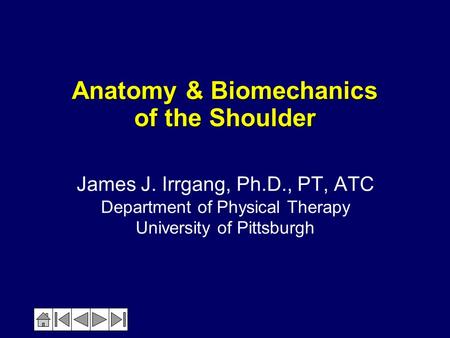 Anatomy & Biomechanics of the Shoulder
