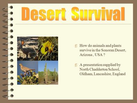 4 How do animals and plants survive in the Sonoran Desert, Arizona, USA ? 4 A presentation supplied by North Chadderton School, Oldham, Lancashire, England.