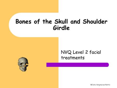 Bones of the Skull and Shoulder Girdle