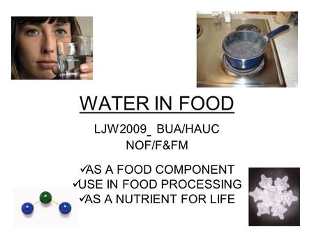 WATER IN FOOD LJW2009 BUA/HAUC NOF/F&FM AS A FOOD COMPONENT USE IN FOOD PROCESSING AS A NUTRIENT FOR LIFE.