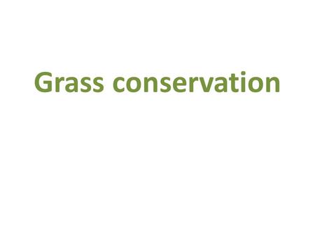 Grass conservation. Why do we need to conserve grass?