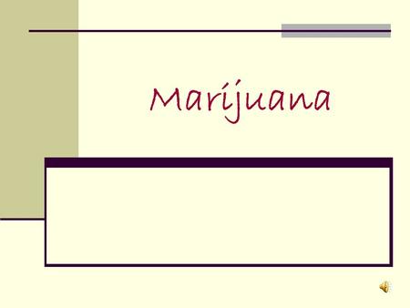 Marijuana. What is it? Marijuana is made from the plant cannabis sativa, a plant that grows wild throughout many regions. Most of the marijuana used in.