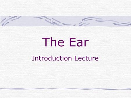 The Ear Introduction Lecture. Your Ears & Hearing Your ears are exceedingly well-designed organs with two roles -- they enable you to hear and to keep.