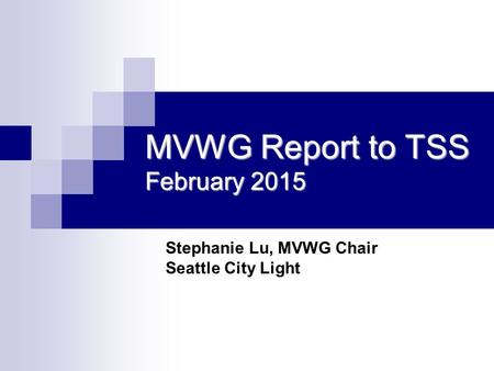 MVWG Report to TSS February 2015 Stephanie Lu, MVWG Chair Seattle City Light.