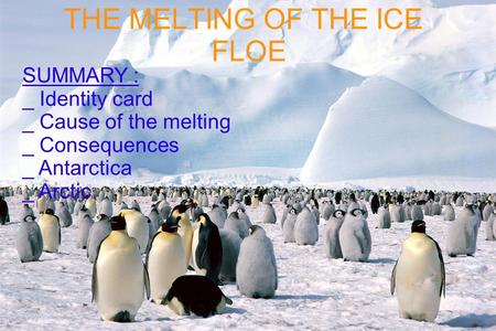 THE MELTING OF THE ICE FLOE SUMMARY : _ Identity card _ Cause of the melting _ Consequences _ Antarctica _ Arctic.