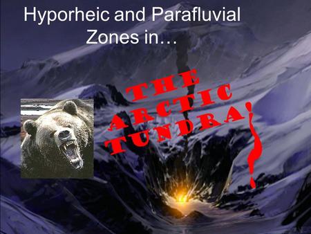 Hyporheic and Parafluvial Zones in… The Arctic Tundra!