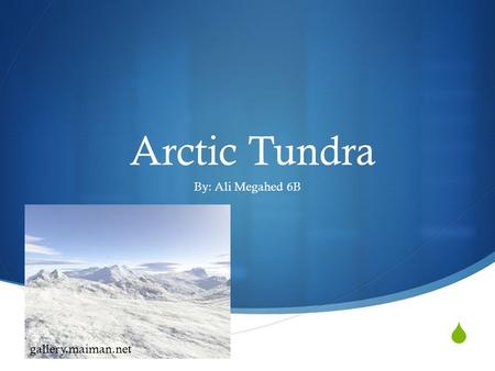  Arctic Tundra By: Ali Megahed 6B gallery.maiman.net.