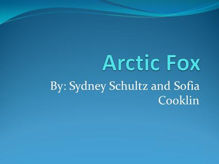 By: Sydney Schultz and Sofia Cooklin. IMAGES Food Diet: Arctic fox feed primarily on small mammals, including lemmings and tundra voles. Fox denning.