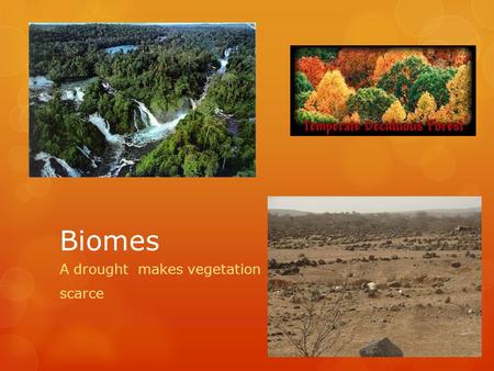 Biomes A drought makes vegetation scarce. What is a biome?  Group of ecosystems with similar climates and organisms.