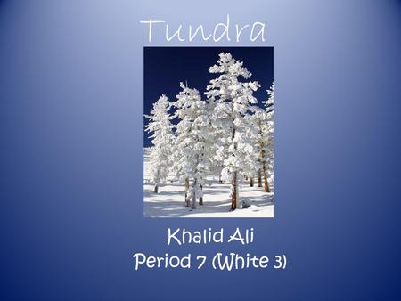 Tundra Khalid Ali Period 7 (White 3) Climate The yearly temperature range of the Tundra is -12°C to 34°C.