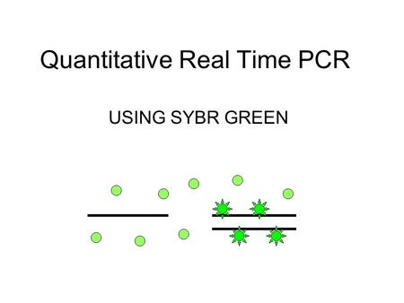 Quantitative Real Time PCR USING SYBR GREEN. SYBR Green SYBR Green is a cyanine dye that binds to double stranded DNA. When it is bound to D.S. DNA it.