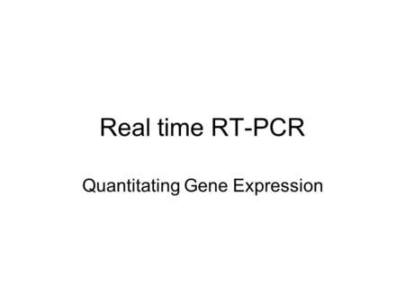 Real time RT-PCR Quantitating Gene Expression.