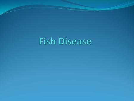Ammonia Poisoning Symptoms Red, inflamed gill; gasping at surface Treatment Add chemical to absorb excess ammonia; decrease number of fish tank.