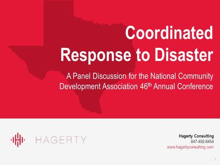 1 Hagerty Consulting 847-492-8454 www.hagertyconsulting.com Coordinated Response to Disaster A Panel Discussion for the National Community Development.