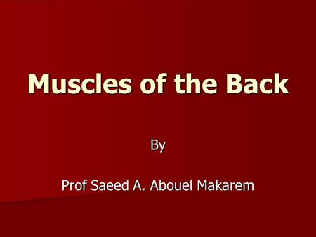 Muscles of the Back By Prof Saeed A. Abouel Makarem.