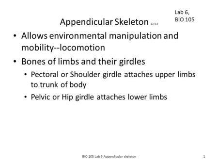 Appendicular Skeleton 12/14