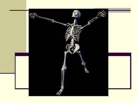 The Axial Skeleton Chapter 7.