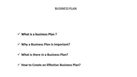 BUSINESS PLAN What is a business Plan ?