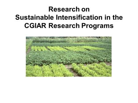 Research on Sustainable Intensification in the CGIAR Research Programs.