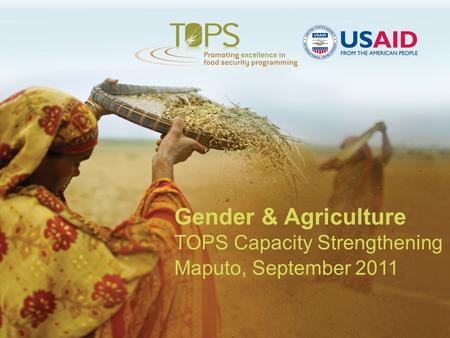 Gender & Agriculture TOPS Capacity Strengthening Maputo, September 2011.