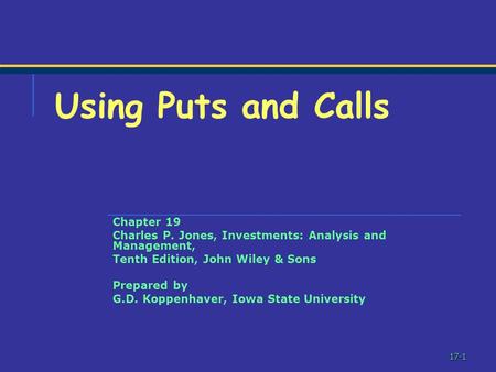 Using Puts and Calls Chapter 19