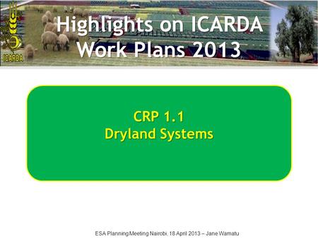 ESA Planning Meeting Nairobi, 18 April 2013 – Jane Wamatu CRP 1.1 Dryland Systems Highlights on ICARDA Work Plans 2013.
