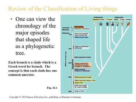 Review of the Classification of Living things One can view the chronology of the major episodes that shaped life as a phylogenetic tree. Fig. 26.1 Copyright.