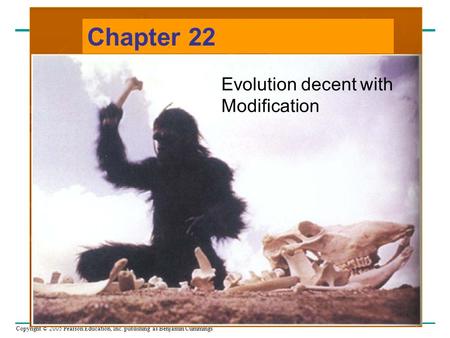 Copyright © 2005 Pearson Education, Inc. publishing as Benjamin Cummings Chapter 22 Evolution decent with Modification.