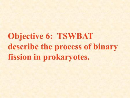 Objective 6: TSWBAT describe the process of binary fission in prokaryotes.