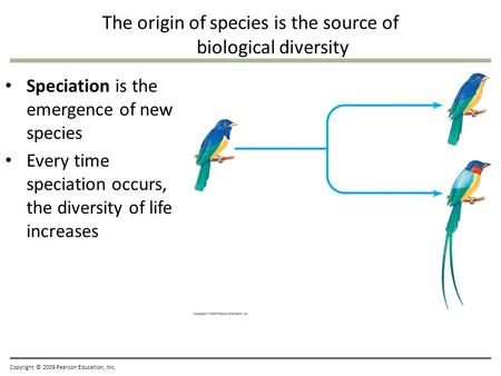 Copyright © 2009 Pearson Education, Inc. The origin of species is the source of biological diversity Speciation is the emergence of new species Every time.