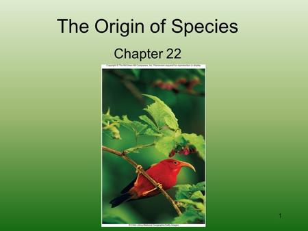 The Origin of Species Chapter 22.