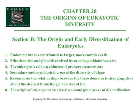 CHAPTER 28 THE ORIGINS OF EUKAYOTIC DIVERSITY Copyright © 2002 Pearson Education, Inc., publishing as Benjamin Cummings Section B: The Origin and Early.