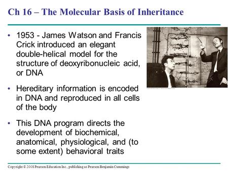 Ch 16 – The Molecular Basis of Inheritance