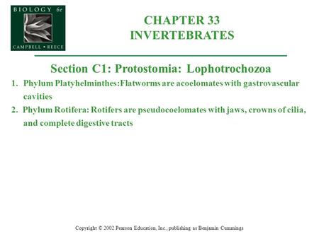 CHAPTER 33 INVERTEBRATES Section C1: Protostomia: Lophotrochozoa
