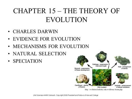 CHAPTER 15 – THE THEORY OF EVOLUTION CHARLES DARWIN EVIDENCE FOR EVOLUTION MECHANISMS FOR EVOLUTION NATURAL SELECTION SPECIATION Life Sciences-HHMI Outreach.
