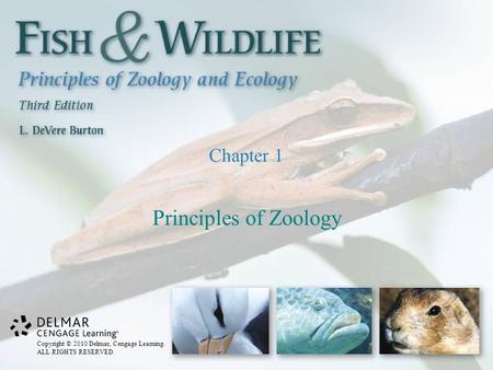 Copyright © 2010 Delmar, Cengage Learning. ALL RIGHTS RESERVED. Chapter 1 Principles of Zoology.