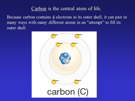 Because carbon contains 4 electrons in its outer shell, it can pair in many ways with many different atoms in an “attempt” to fill its outer shell. Carbon.