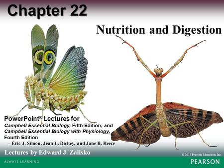 © 2013 Pearson Education, Inc. Lectures by Edward J. Zalisko PowerPoint ® Lectures for Campbell Essential Biology, Fifth Edition, and Campbell Essential.