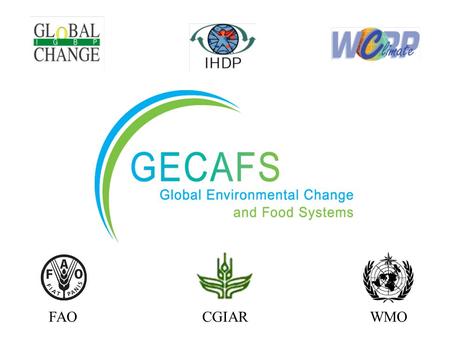 FAOCGIARWMO. A food-secure future for those most vulnerable to environmental stress. GECAFS Vision.