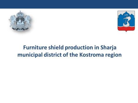 Furniture shield production in Sharja municipal district of the Kostroma region.