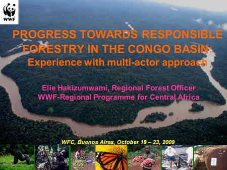 PROGRESS TOWARDS RESPONSIBLE FORESTRY IN THE CONGO BASIN: Experience with multi-actor approach Elie Hakizumwami, Regional Forest Officer WWF-Regional Programme.